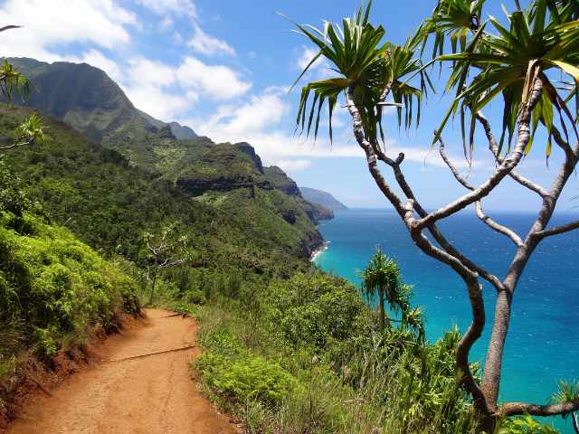 DK Masters 1 tropical island beautiful nature where transformation, imagination, and unexpected bliss are found