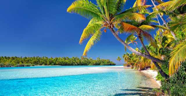 tropical island beautiful nature where transformation, imagination, and unexpected bliss are found