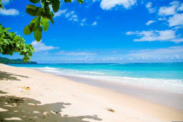 DK Masters 1 tropical island beautiful nature where transformation, imagination, and unexpected bliss are found